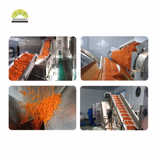 Zanahoria de venta directa de fábrica